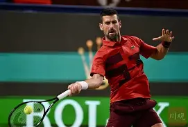 开云体育APP下载-德约科维奇经典比赛