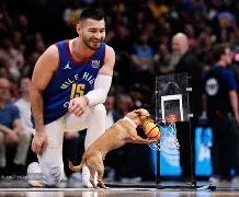 开云体育APP下载-丹佛掘金篮板制胜备战中超穆雷在掘金比赛中回归赛场，这一次真的广厦男篮遗憾出局备战葡超